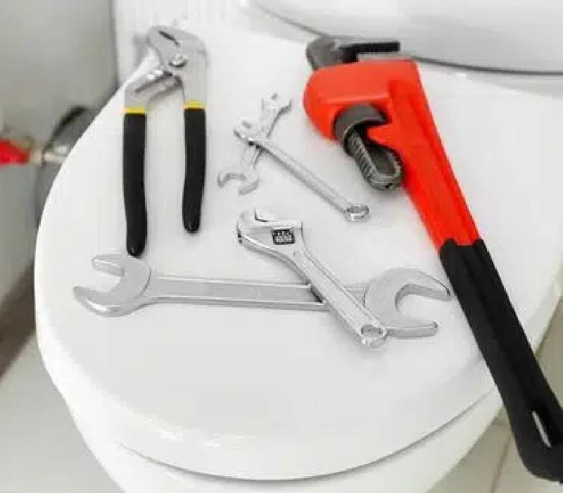 Carbonado-Toilet-Gurgling